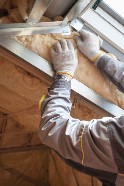 Best Eco-Friendly Insulation in Idaho Springs, CO